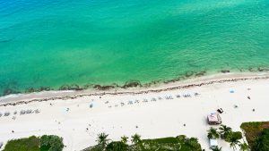 Edmund DeSoto 561-346-4495