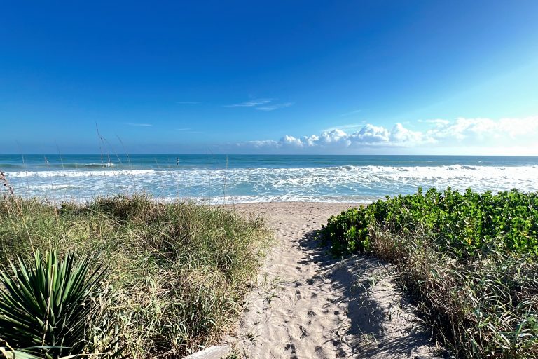 Edmund DeSoto 561-346-4495