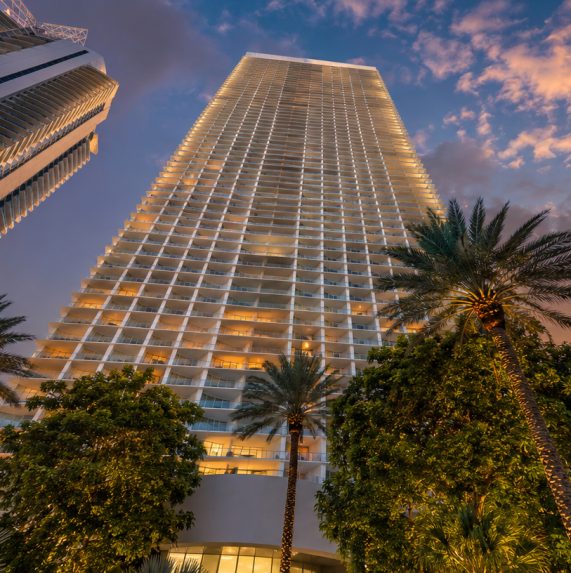 2 -Jade Signature Among Palms Early Evening