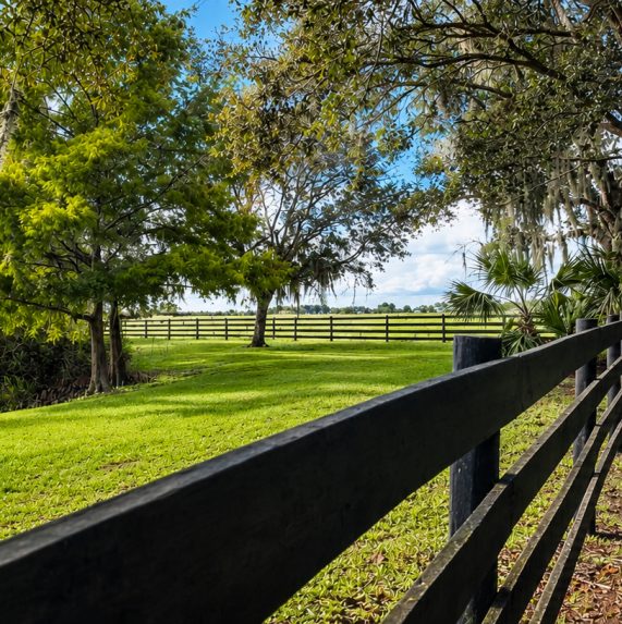 57 Martin Manor Grounds